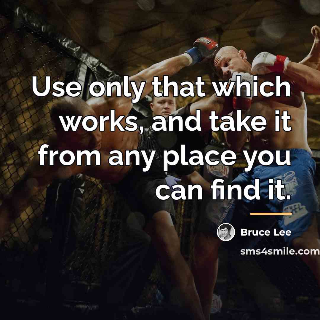 “Use only that which works, and take it from any…” quote by Bruce Lee