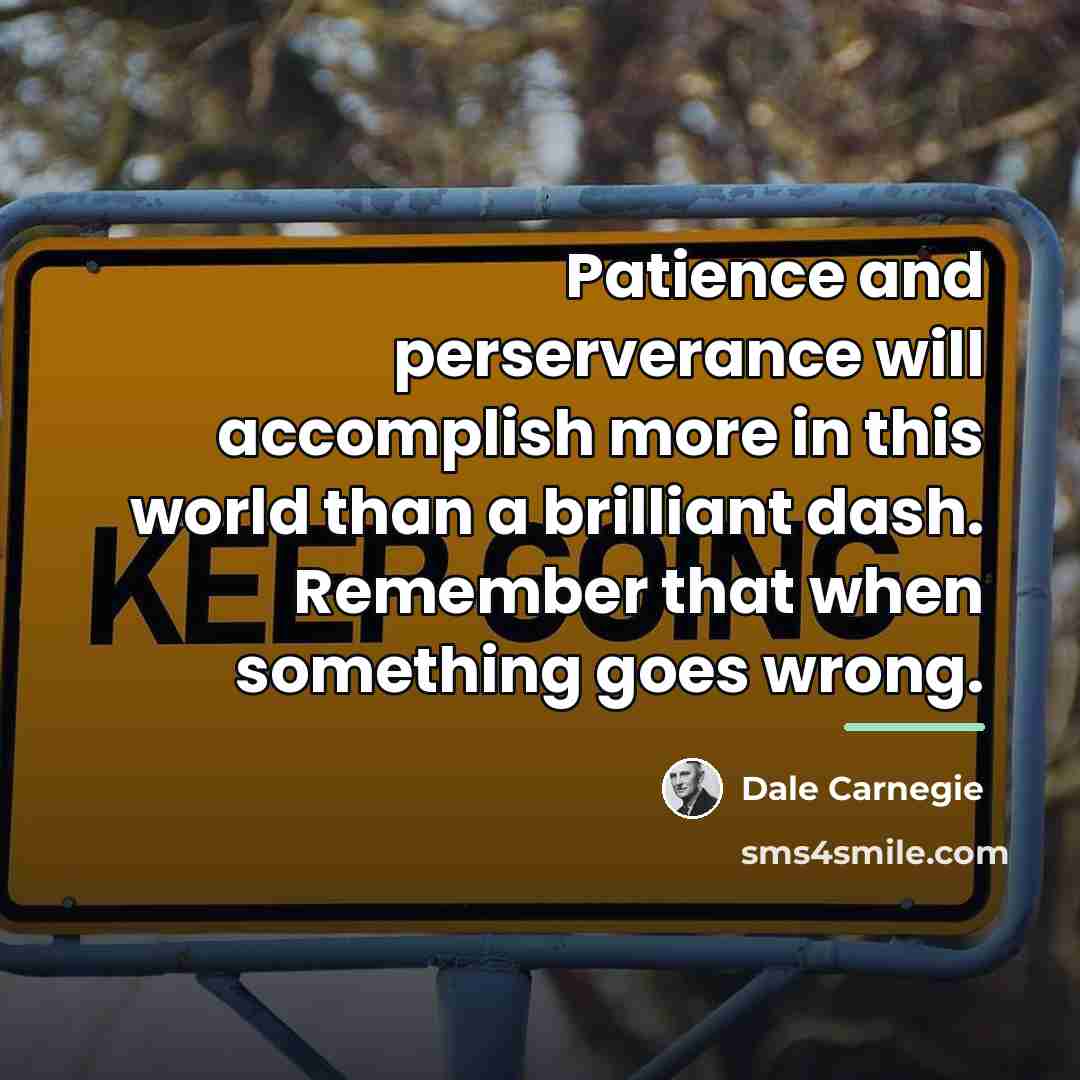 “Patience and perserverance will accomplish more in this world than…” quote by Dale Carnegie