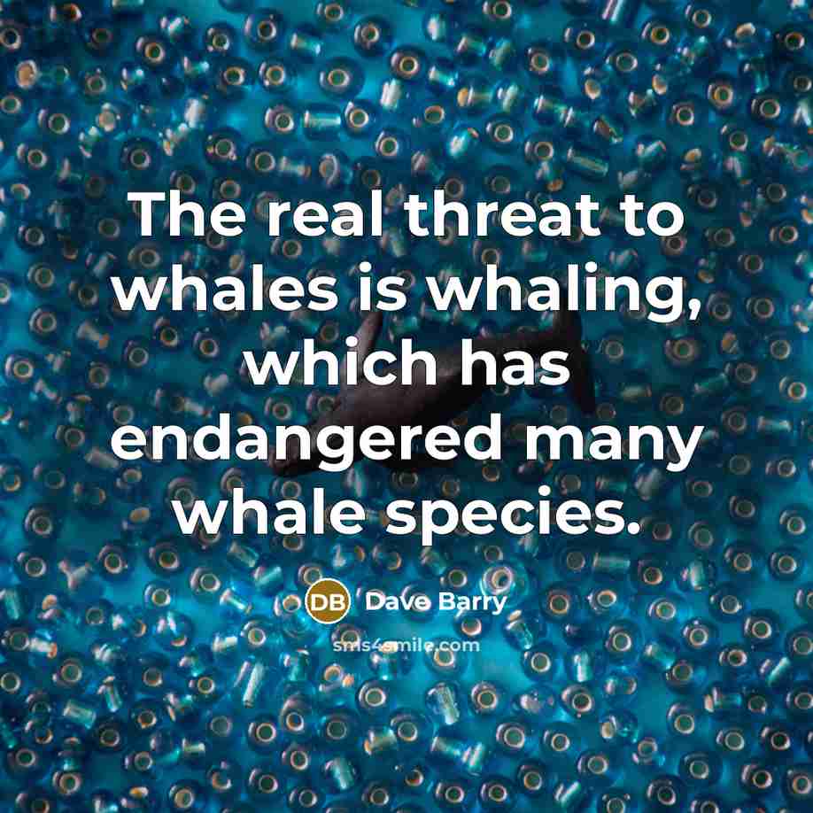 “The real threat to whales is whaling, which has endangered…” quote by Dave Barry