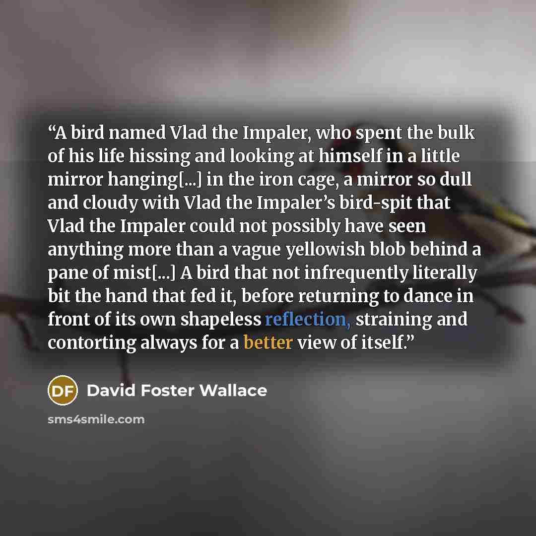 “A bird named Vlad the Impaler, who spent the bulk of his life hissing and looking at himself in a little mirror hanging[...] in the iron cage, a mirror so dull and cloudy with Vlad the Impaler’s bird-spit that Vlad the Impaler could not possibly have seen anything more than a vague yellowish blob…” quote by David Foster Wallace