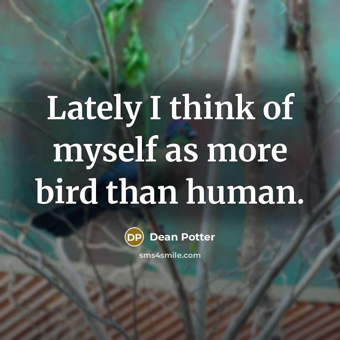“Lately I think of myself as more bird than human.…” quote by Dean Potter