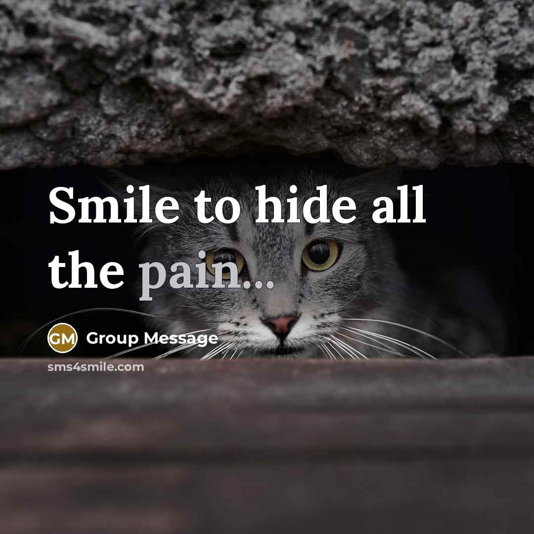 “Smile to hide all the pain...…” quote by Group Message