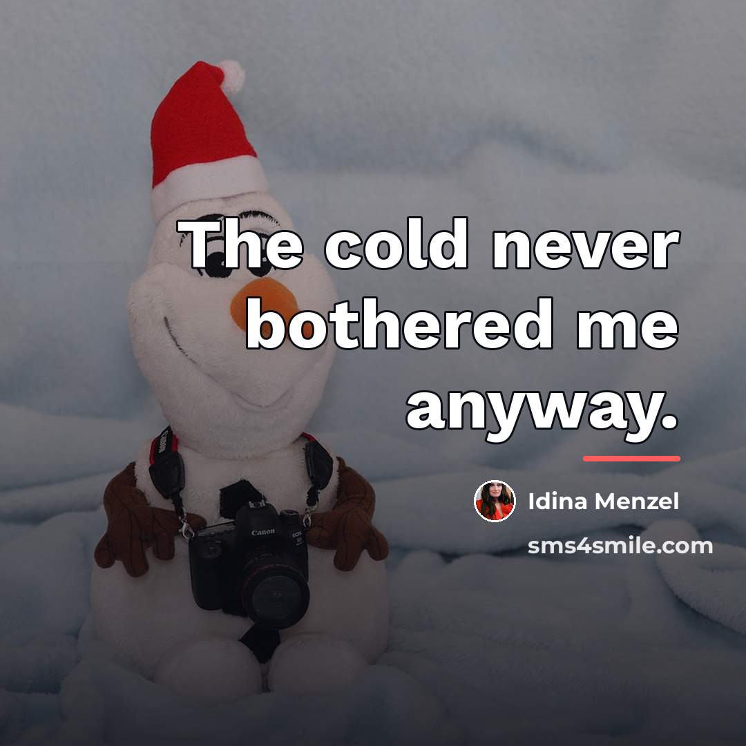 “The cold never bothered me anyway.…” quote by Idina Menzel