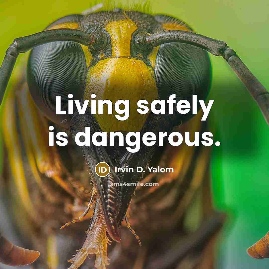 “Living safely is dangerous.…” quote by Irvin D. Yalom