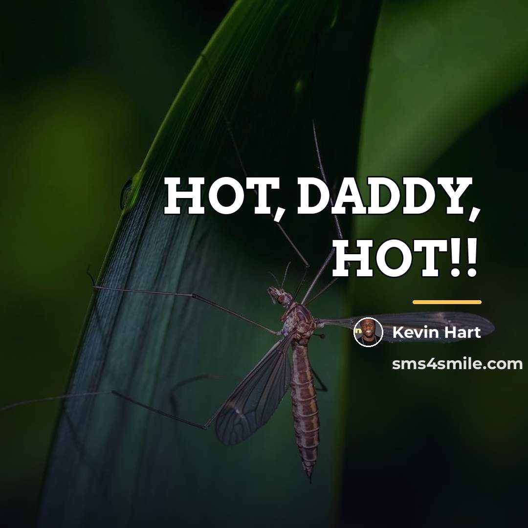 “HOT, DADDY, HOT!!…” quote by Kevin Hart