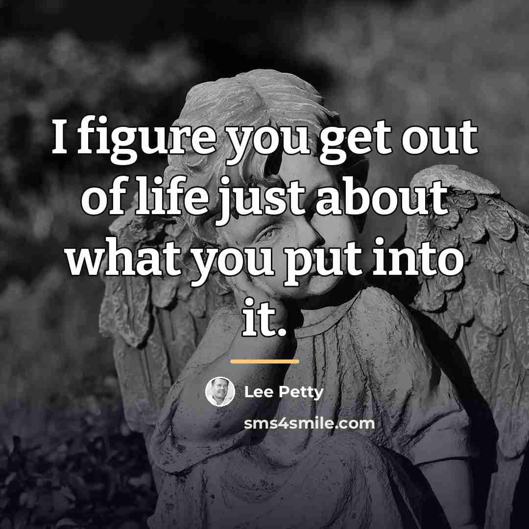 “I figure you get out of life just about what…” quote by Lee Petty