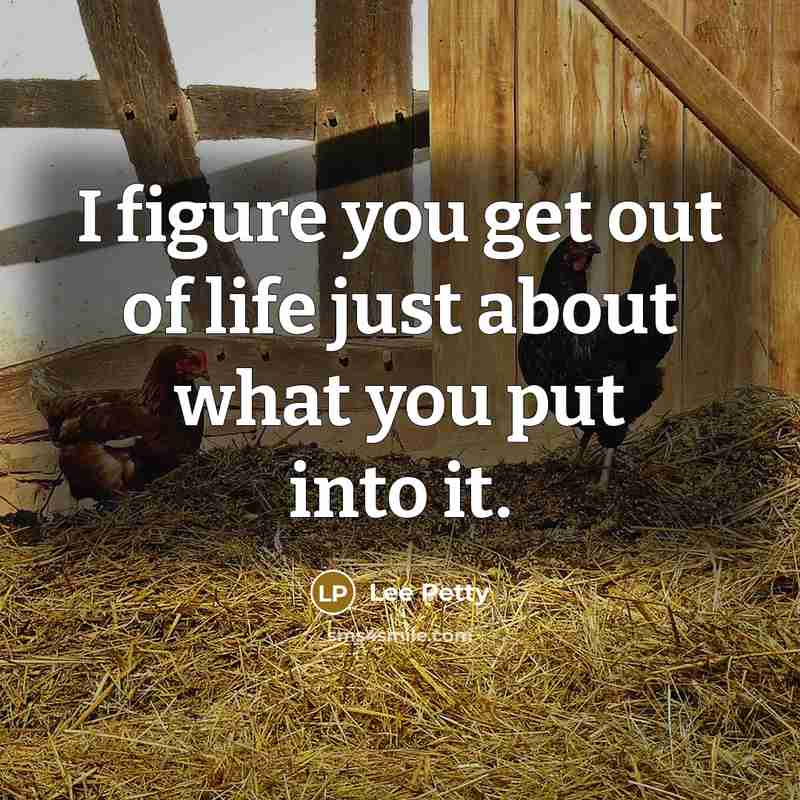 “I figure you get out of life just about what you put into it.” quote by Lee Petty