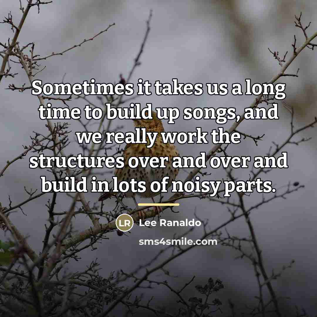 “Sometimes it takes us a long time to build up…” quote by Lee Ranaldo