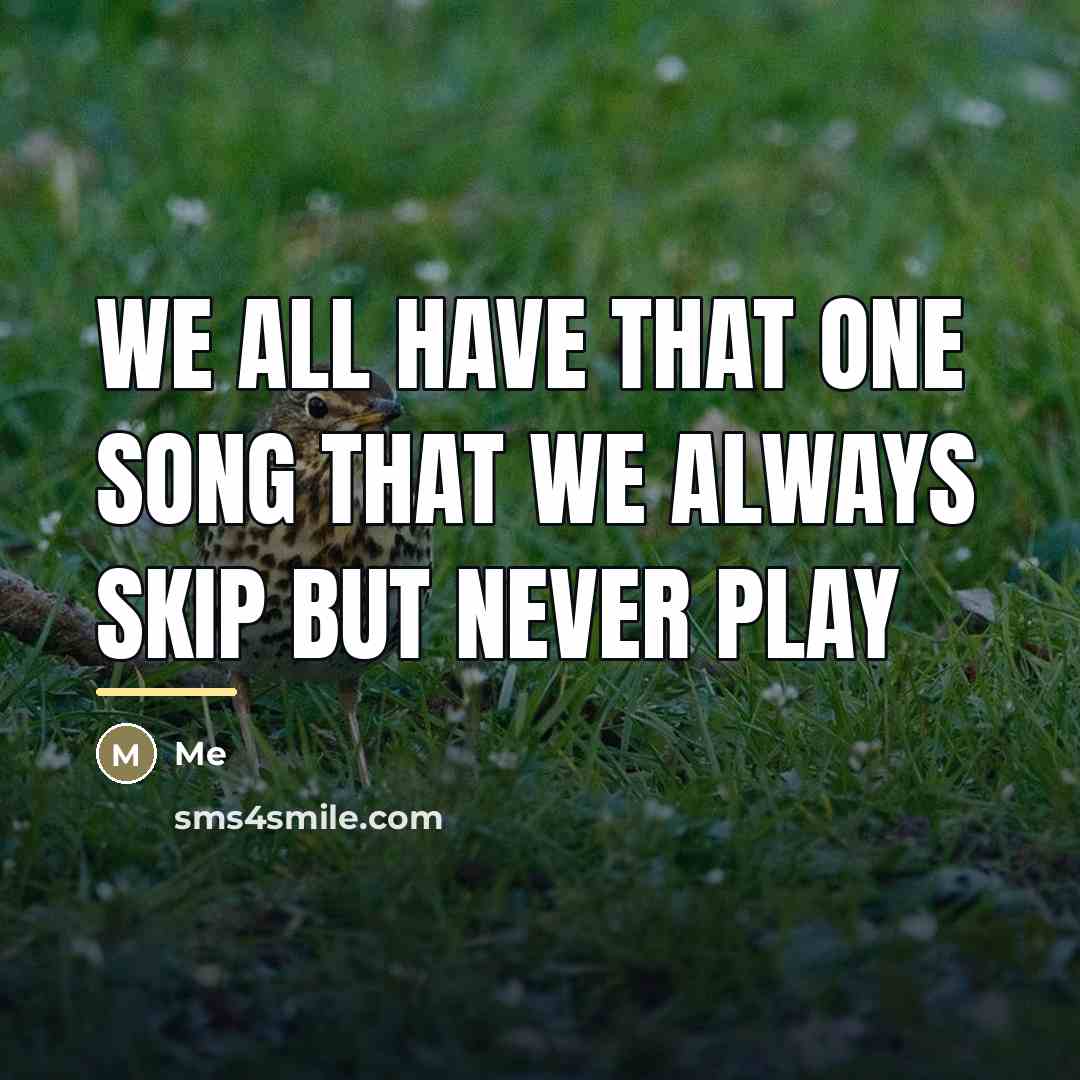 “We all have that one song that we always skip…” quote by Me