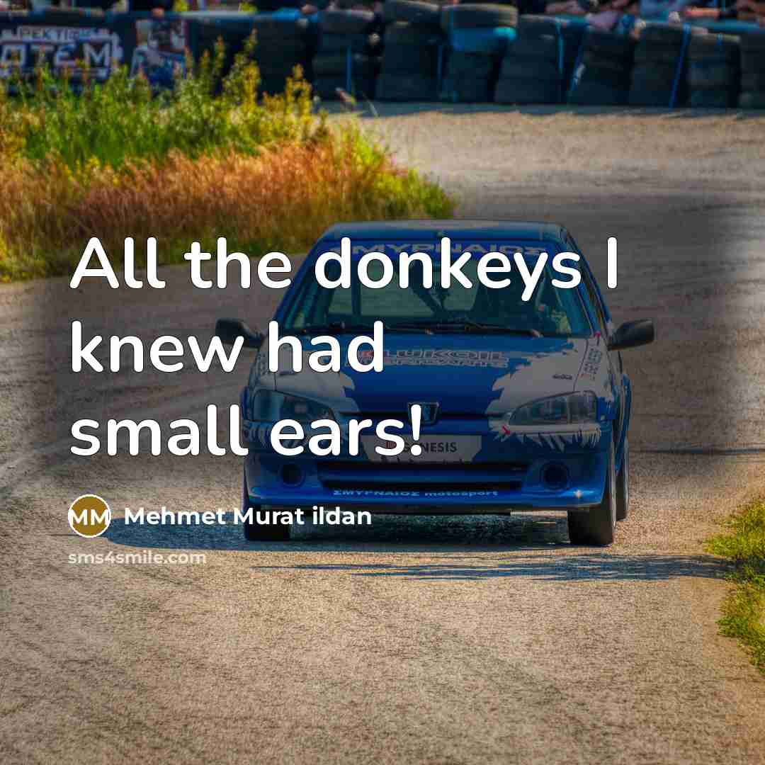 “All the donkeys I knew had small ears!…” quote by Mehmet Murat Ildan