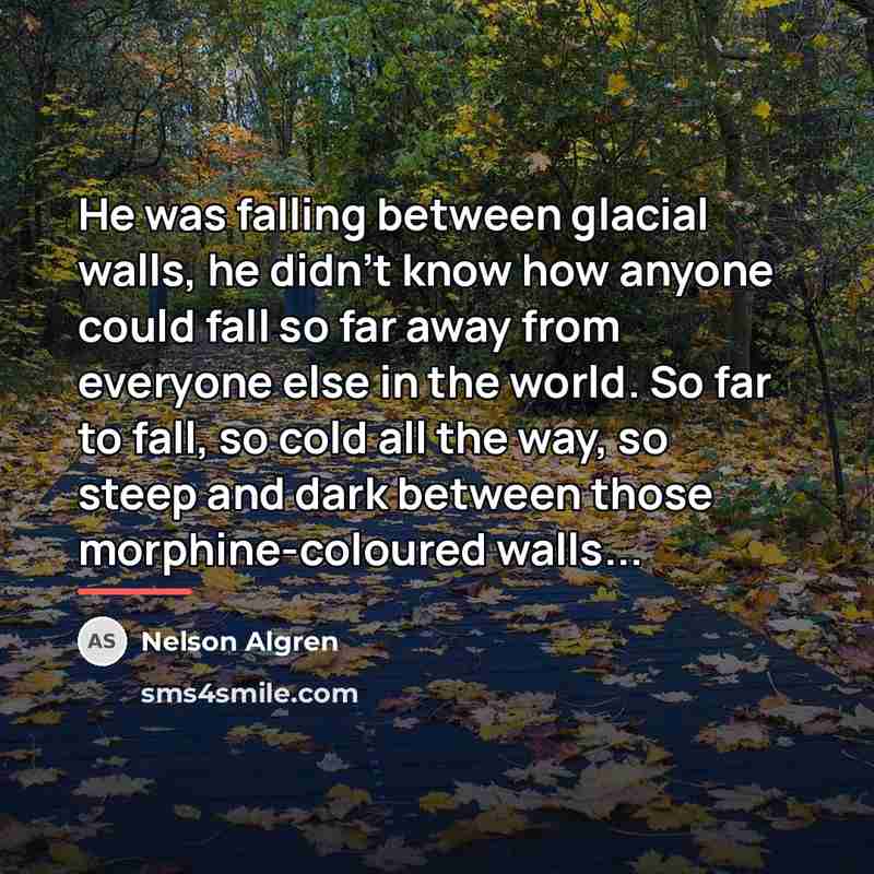 “He was falling between glacial walls, he didn't know how…” quote by Nelson Algren
