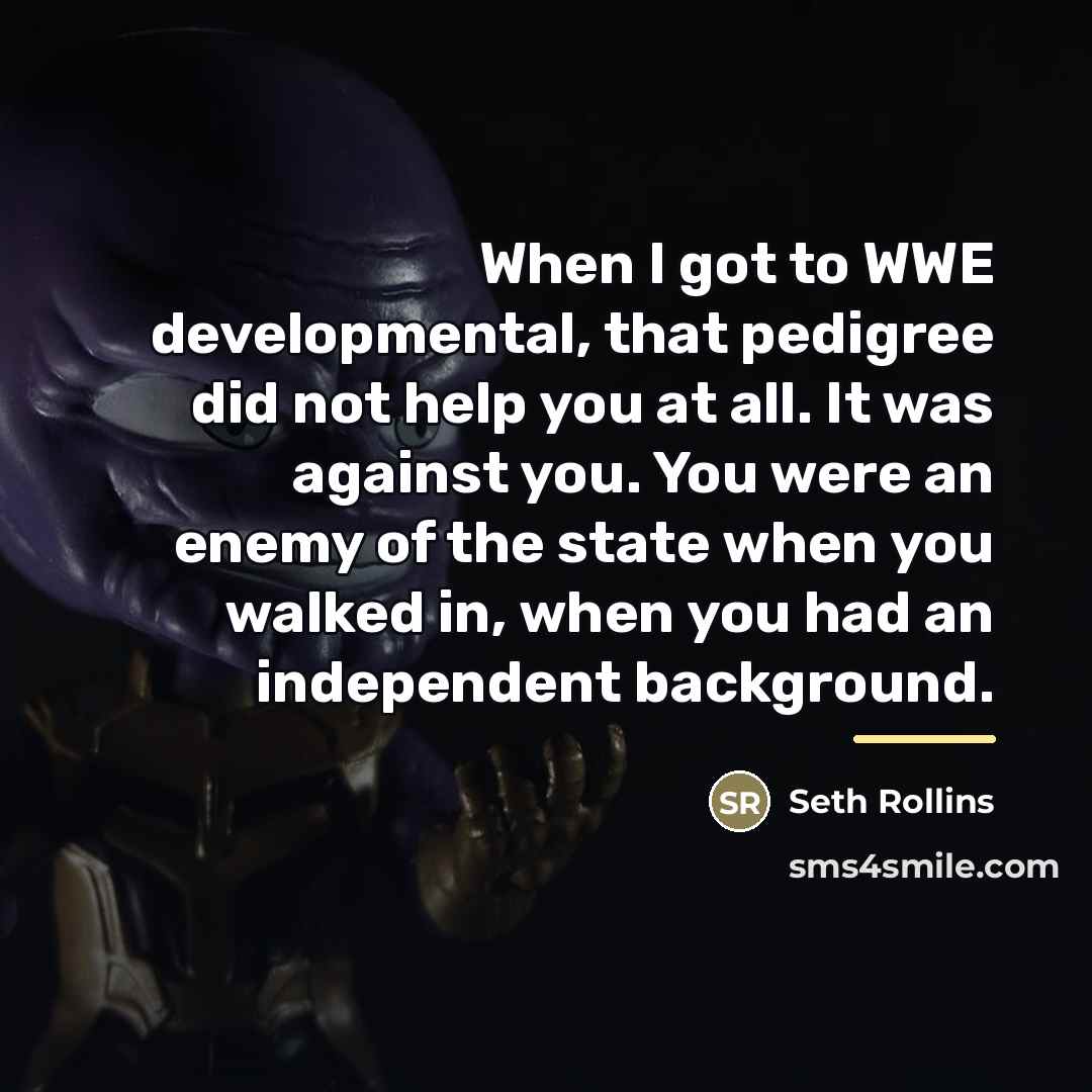 “When I got to WWE developmental, that pedigree did not…” quote by Seth Rollins