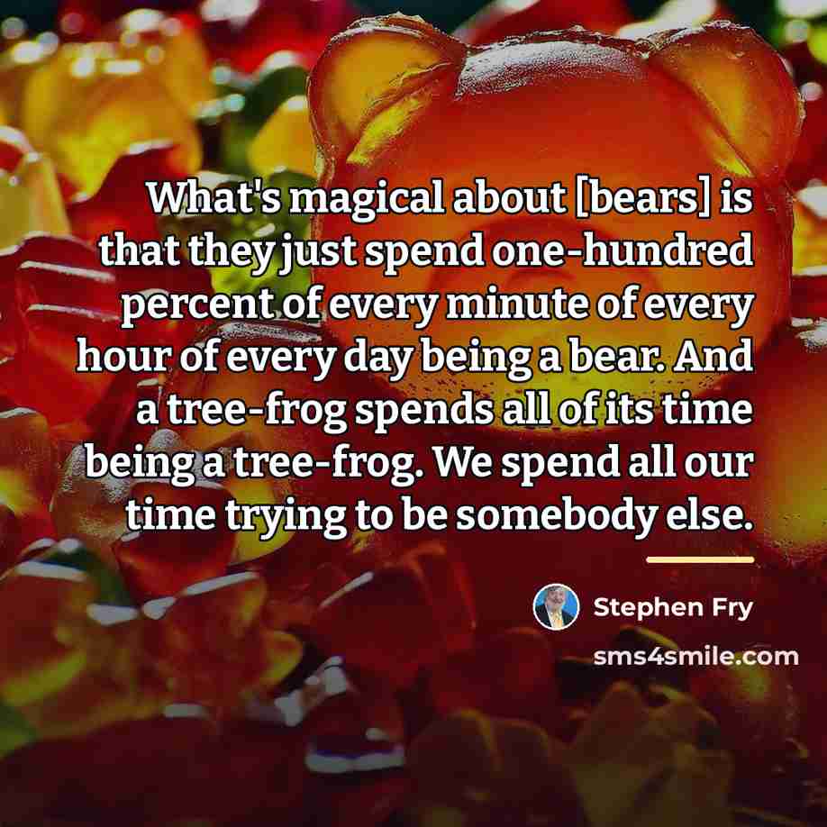 “What's magical about [bears] is that they just spend one-hundred…” quote by Stephen Fry