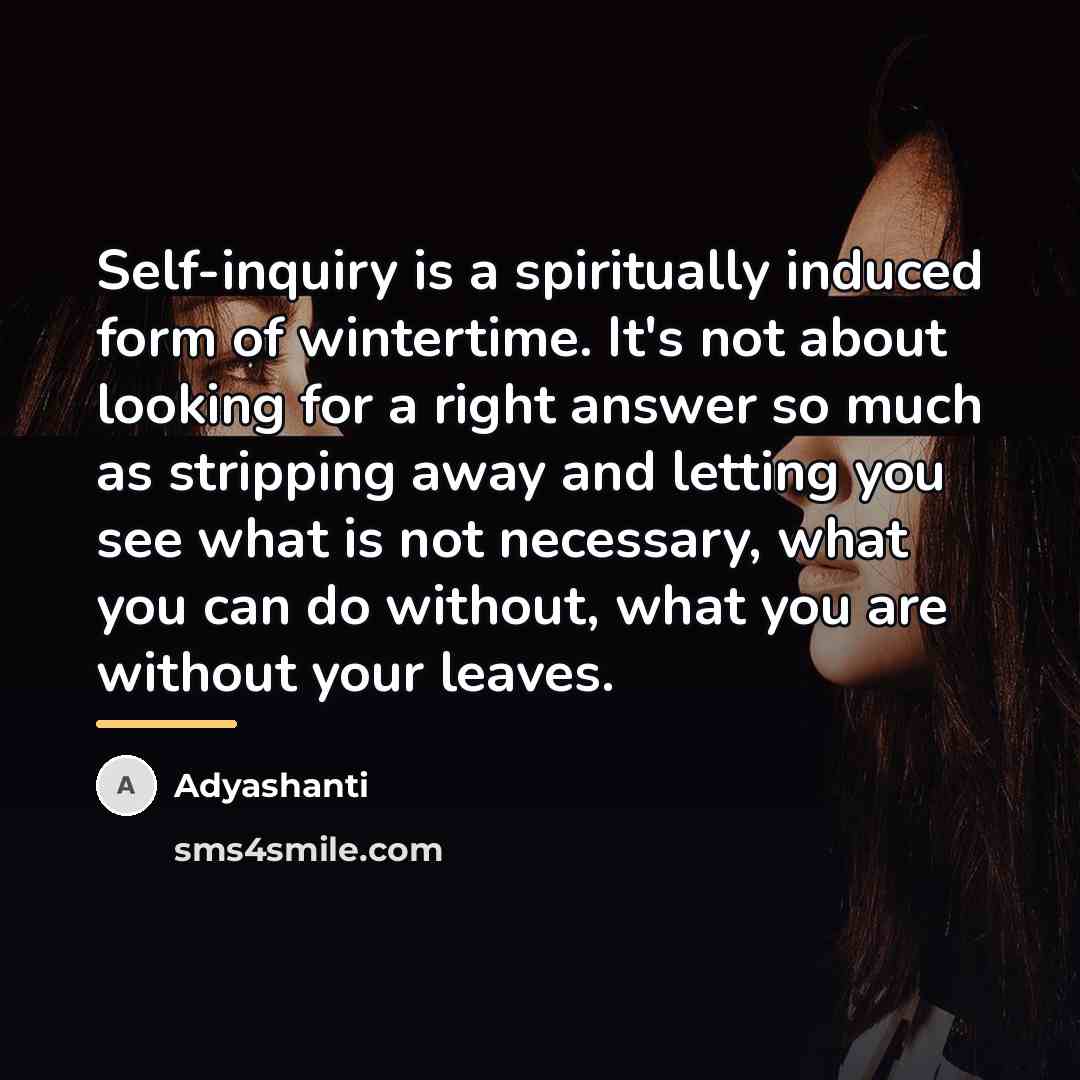 “Self-inquiry is a spiritually induced form of wintertime. It's not…” quote by Adyashanti