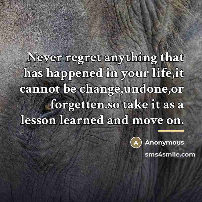 “Never regret anything that has happened in your life,it cannot…” quote by Anonymous