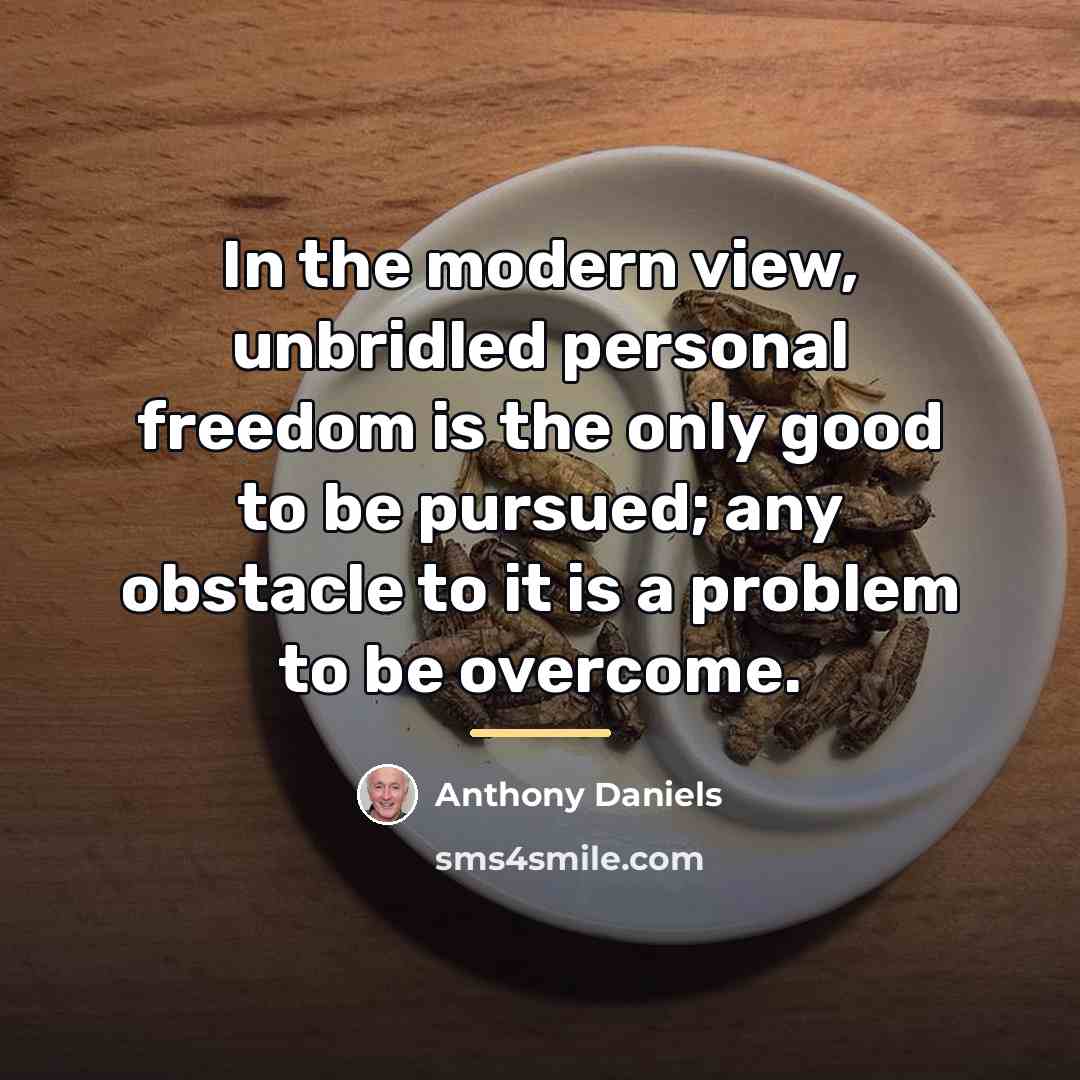 “In the modern view, unbridled personal freedom is the only…” quote by Anthony Daniels
