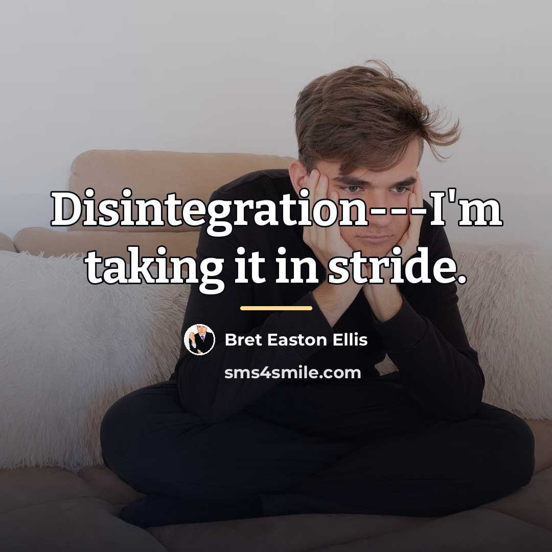 “Disintegration---I'm taking it in stride.…” quote by Bret Easton Ellis