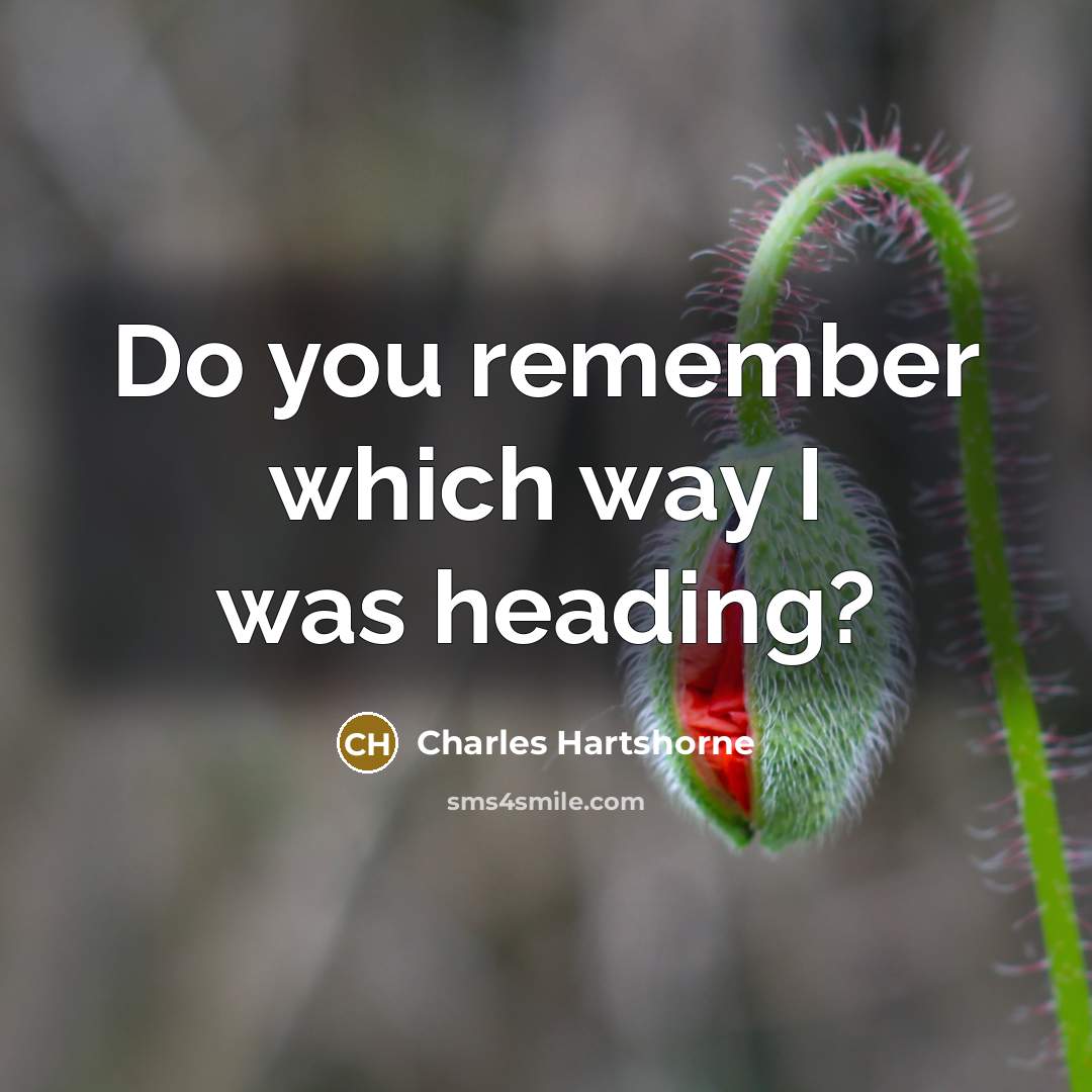 “Do you remember which way I was heading?…” quote by Charles Hartshorne
