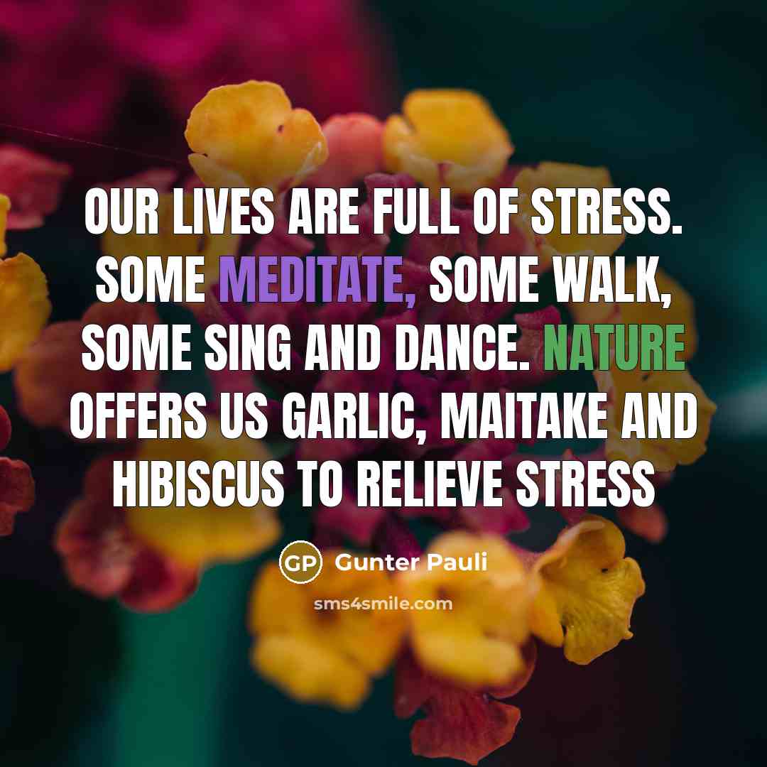 “Our lives are full of stress. Some meditate, some walk,…” quote by Gunter Pauli