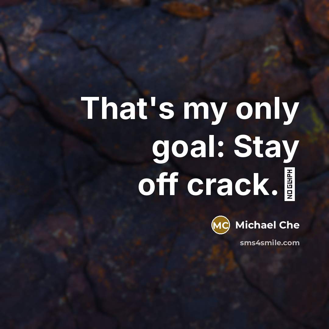 “That's my only goal: Stay off crack.…” quote by Michael Che
