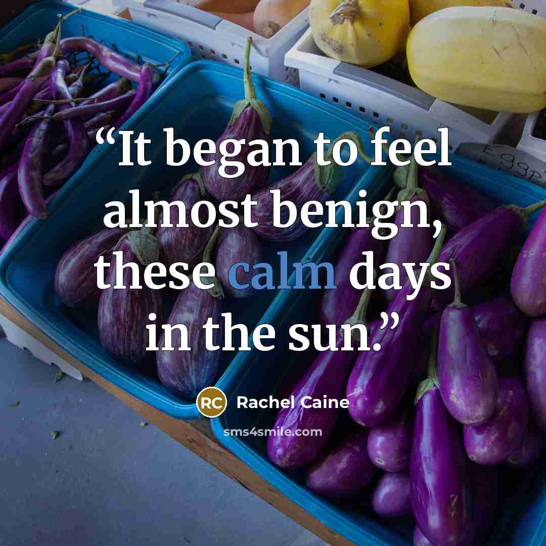“It began to feel almost benign, these calm days in the sun.” quote by Rachel Caine