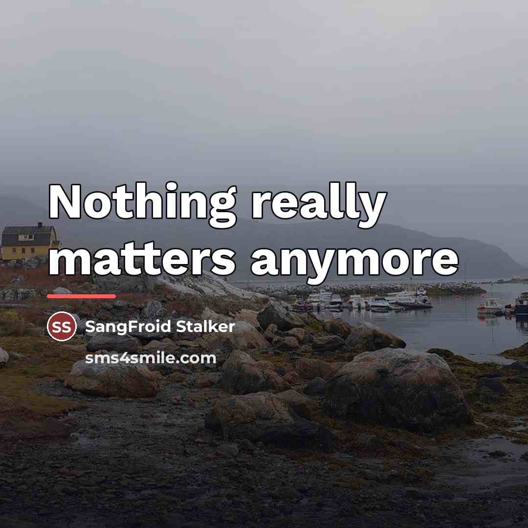 “Nothing really matters anymore…” quote by SangFroid Stalker