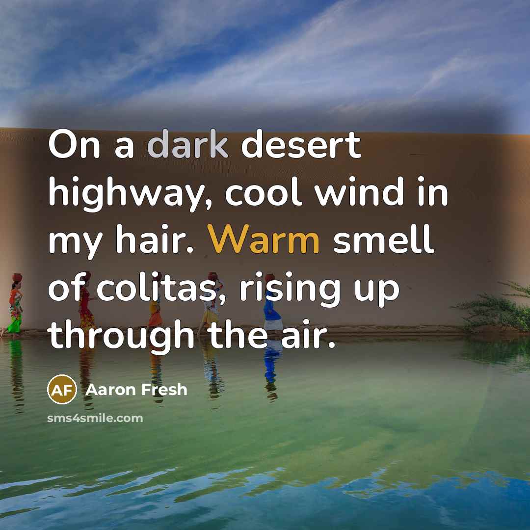 “On a dark desert highway, cool wind in my hair.…” quote by Aaron Fresh
