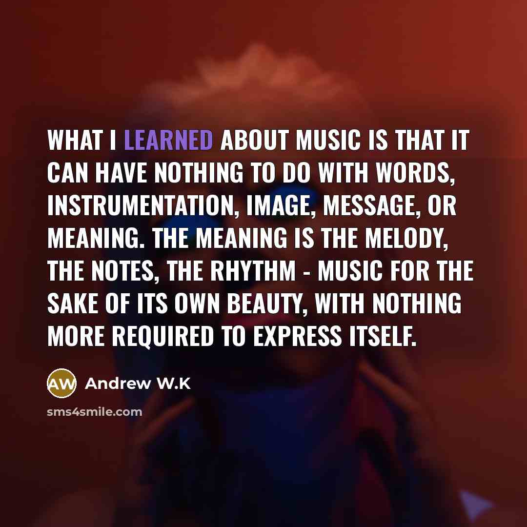 “What I learned about music is that it can have…” quote by Andrew W.K
