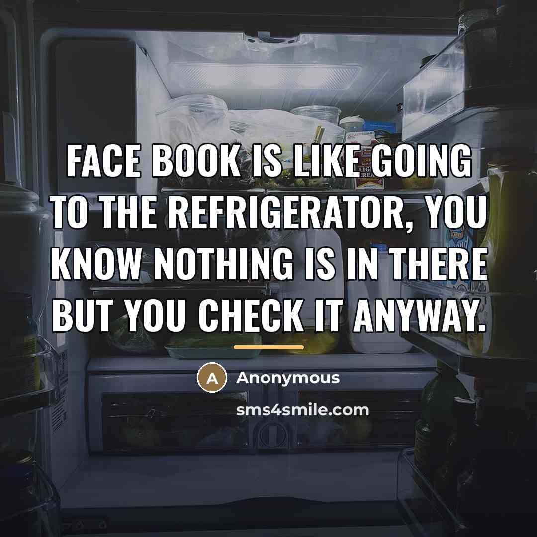 “Face book is like going to the refrigerator, you know…” quote by Anonymous