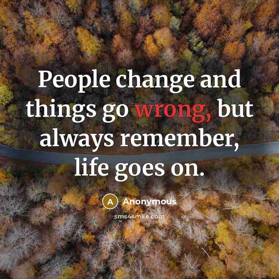 “People change and things go wrong, but always remember, life goes on.” quote by Anonymous