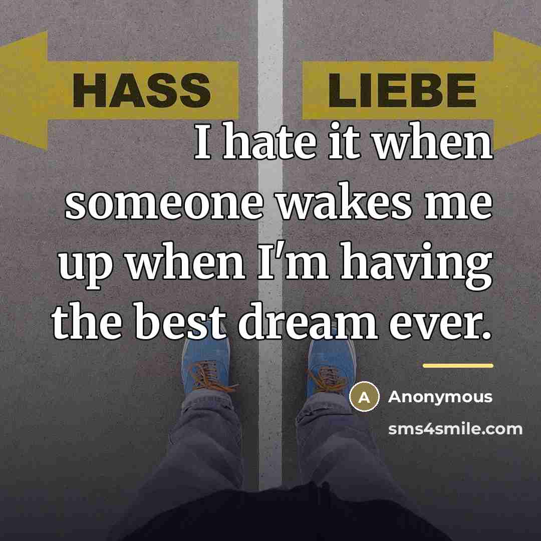 “I hate it when someone wakes me up when I'm…” quote by Anonymous