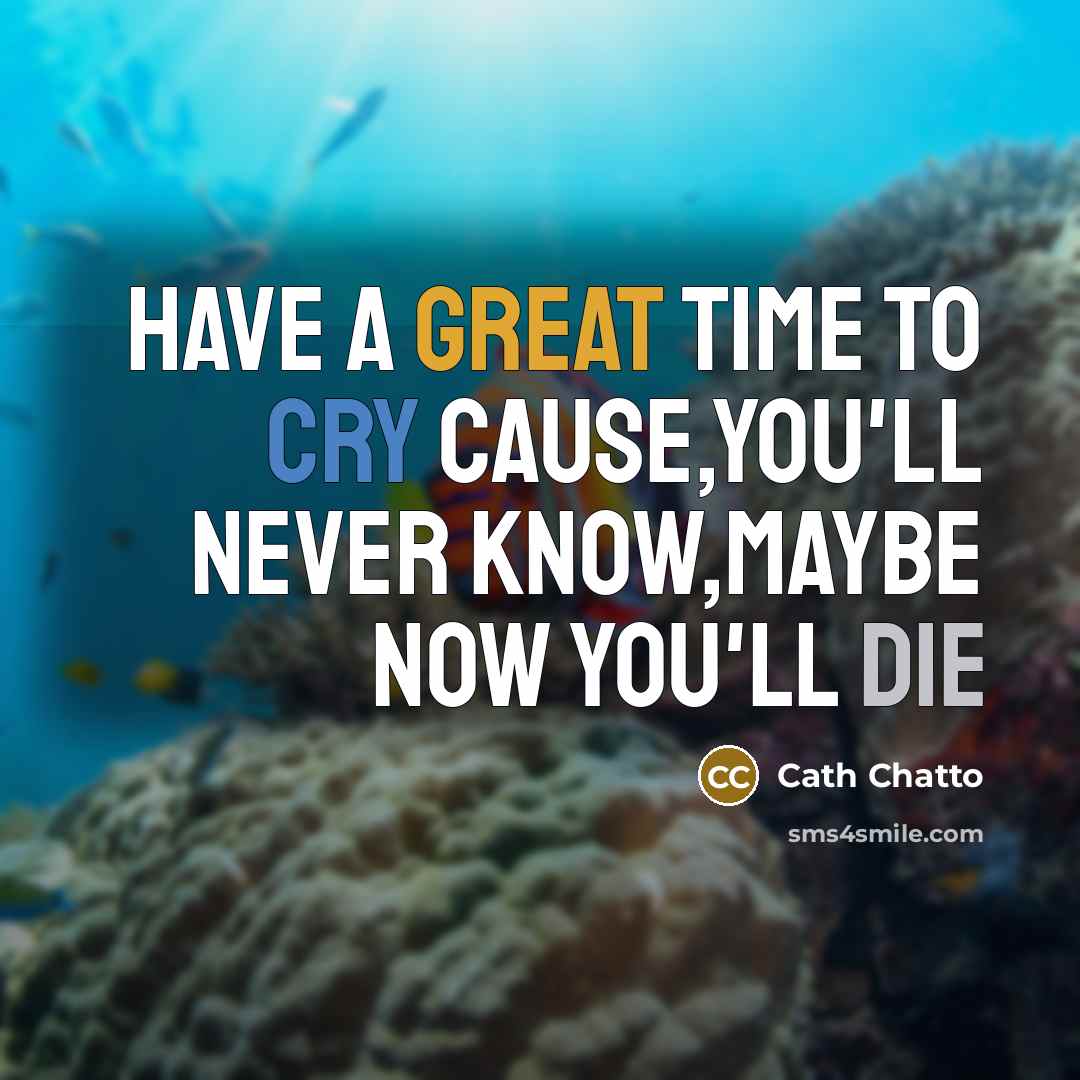 “Have a great time to cry cause,you'll never know,maybe now you'll die” quote by Cath Chatto