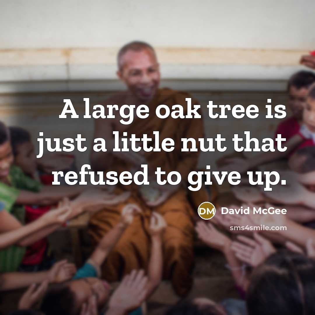 “A large oak tree is just a little nut that refused to give up.” quote by David McGee