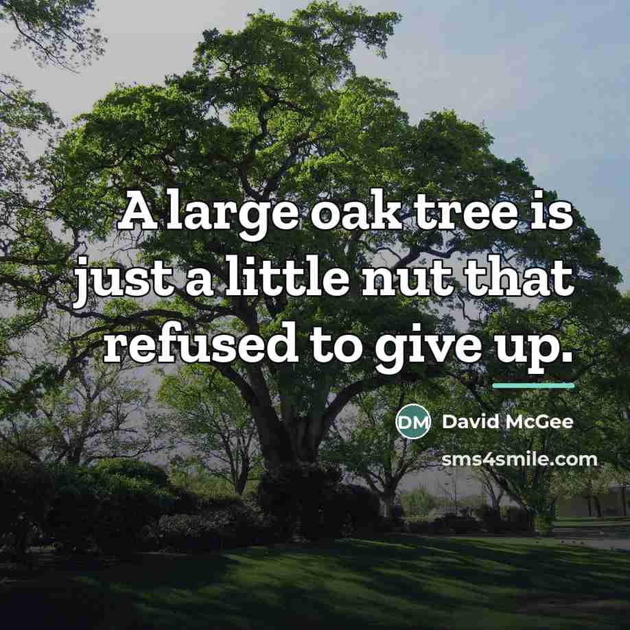 “A large oak tree is just a little nut that…” quote by David McGee