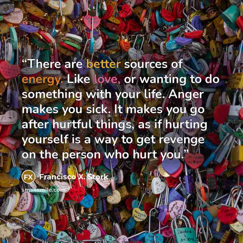 “There are better sources of energy. Like love, or wanting to do something with your life. Anger makes you sick. It makes you go after hurtful things, as if hurting yourself is a way to get revenge on the person who hurt you.” quote by Francisco X. Stork