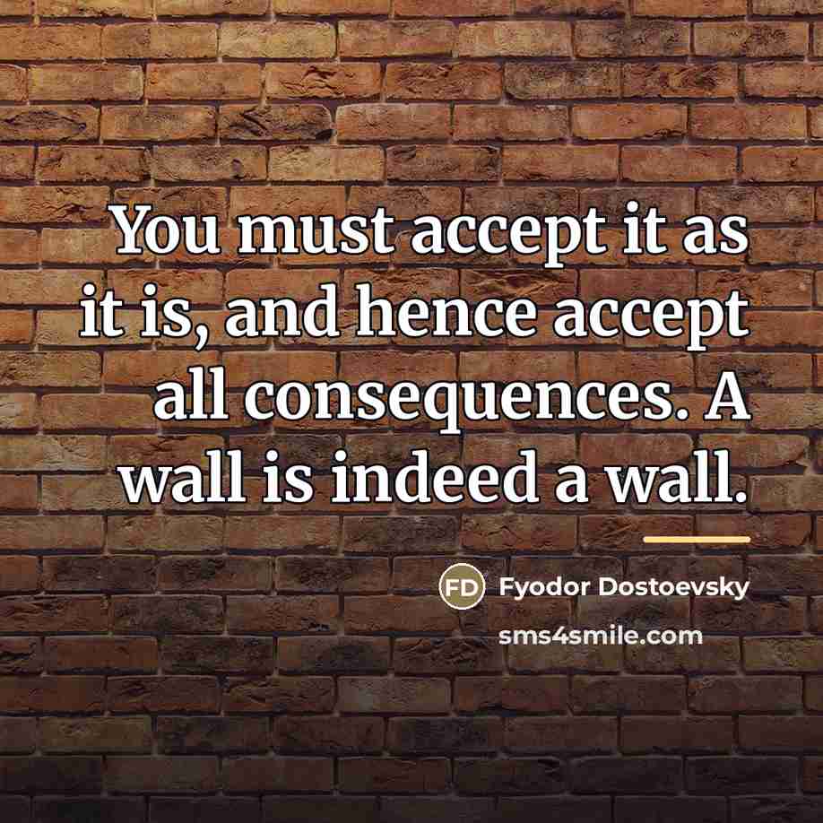 “You must accept it as it is, and hence accept…” quote by Fyodor Dostoevsky