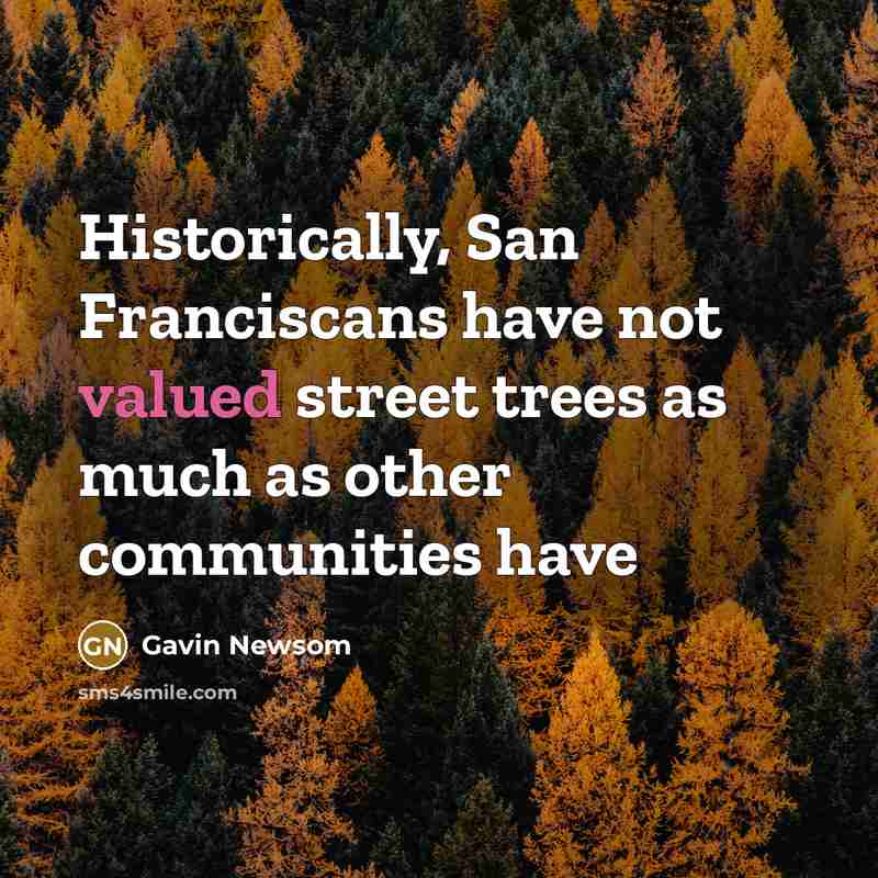 “Historically, San Franciscans have not valued street trees as much…” quote by Gavin Newsom