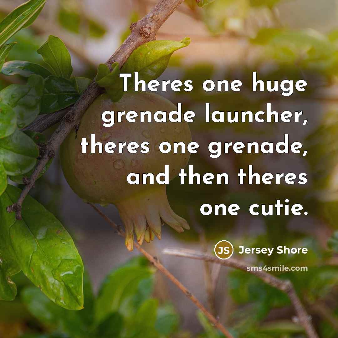 “Theres one huge grenade launcher, theres one grenade, and then theres one cutie.” quote by Jersey Shore