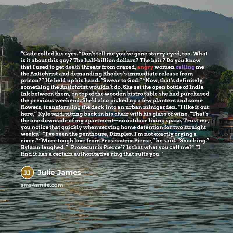 “Cade rolled his eyes. “Don’t tell me you’ve gone starry-eyed, too. What is it about this guy? The half-billion dollars? The hair? Do you know that I used to get death threats from crazed, angry women calling me the Antichrist and demanding Rhodes’s immediate release from prison?” He held up his…” quote by Julie James
