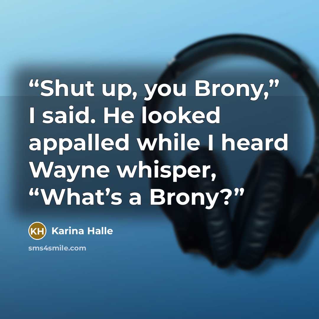 “Shut up, you Brony,” I said. He looked appalled while I heard Wayne whisper, “What’s a Brony?” quote by Karina Halle
