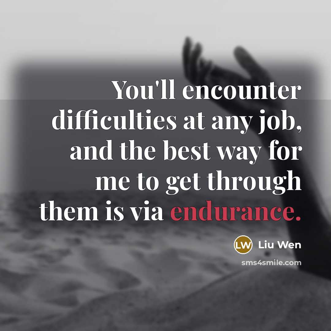 “You'll encounter difficulties at any job, and the best way…” quote by Liu Wen