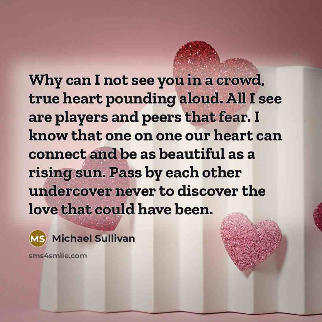 “Why can I not see you in a crowd, true…” quote by Michael Sullivan