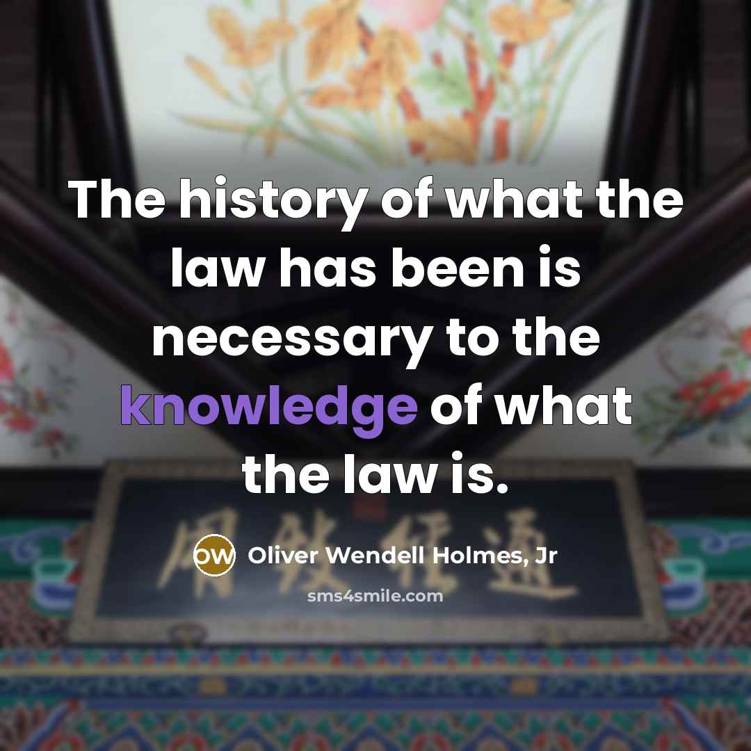 “The history of what the law has been is necessary…” quote by Oliver Wendell Holmes, Jr