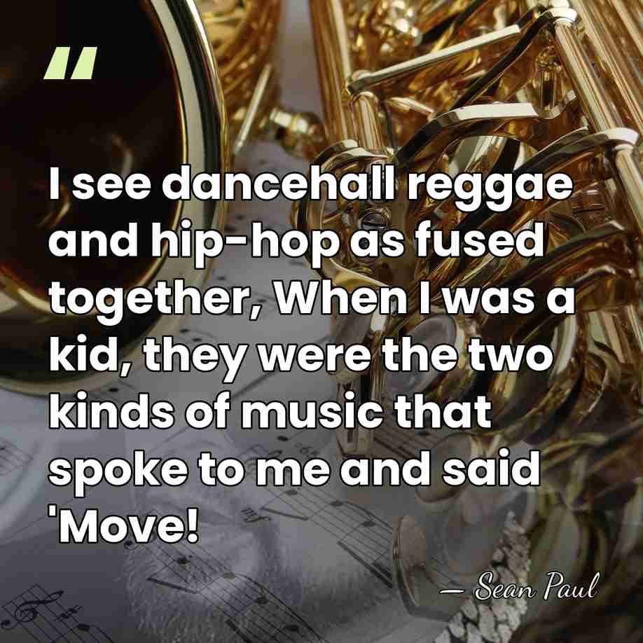 I see dancehall reggae and hip-hop as fused together, When I was&hellip; - Sean Paul