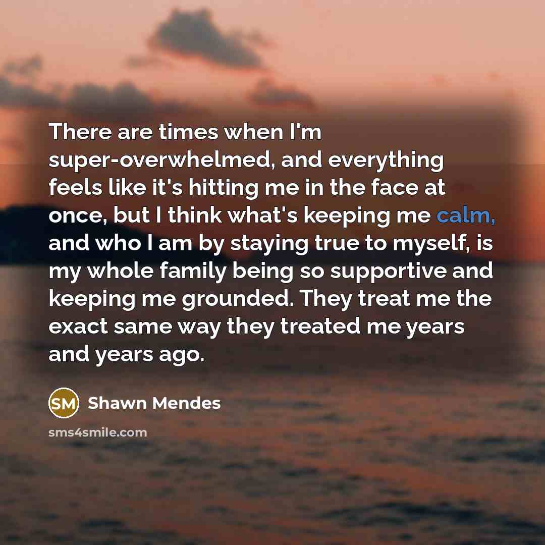 “There are times when I'm super-overwhelmed, and everything feels like…” quote by Shawn Mendes