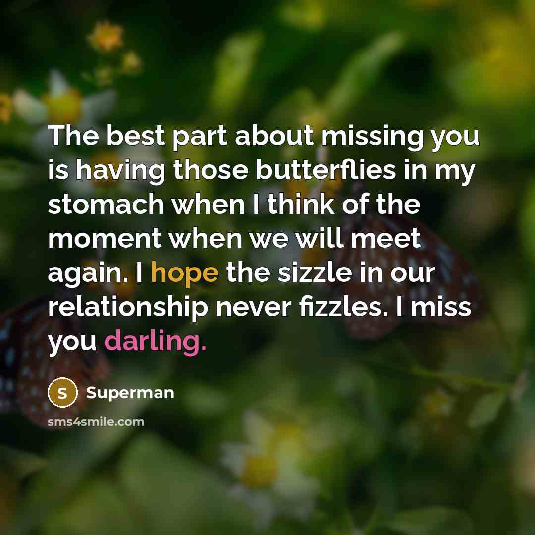 “The best part about missing you is having those butterflies…” quote by Superman