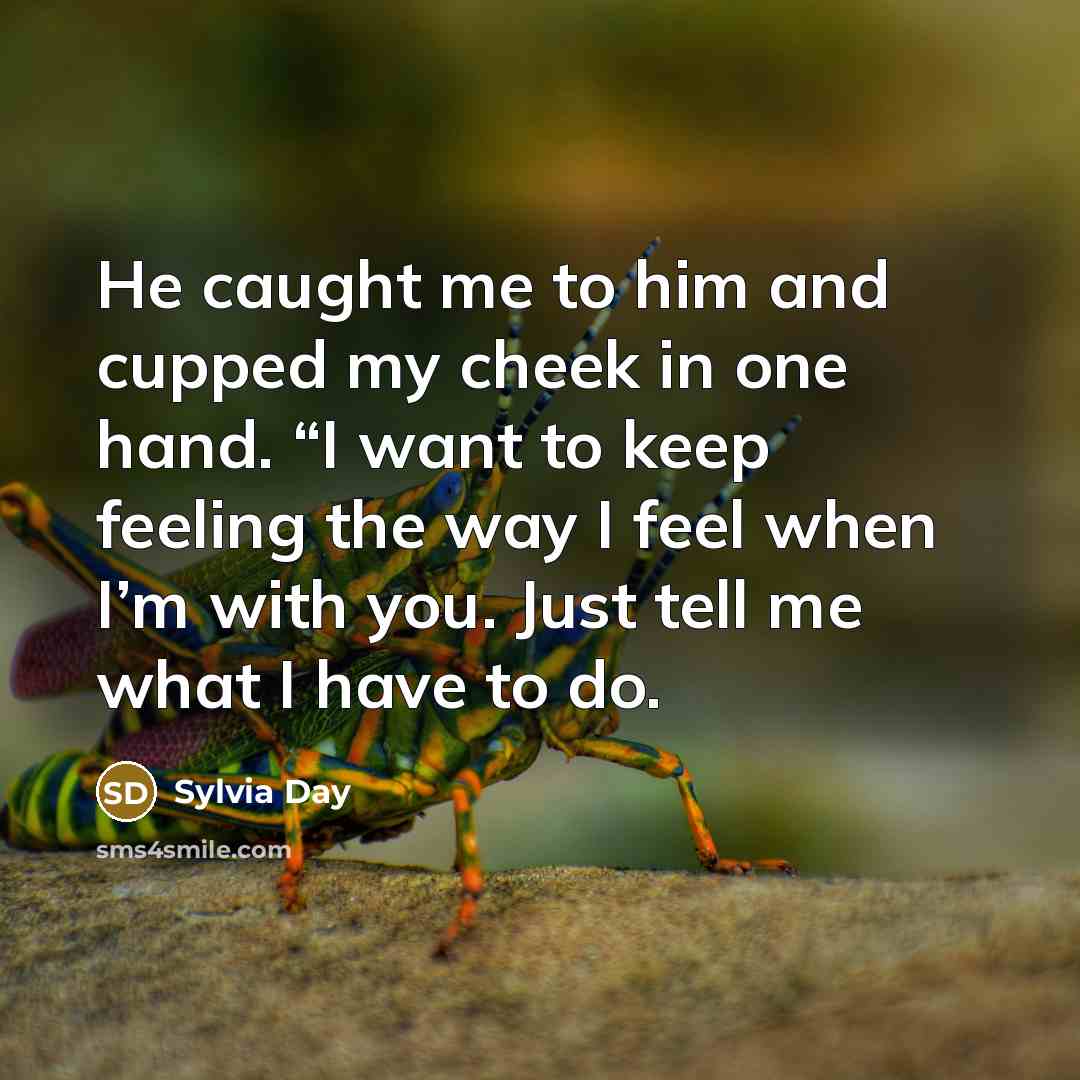 “He caught me to him and cupped my cheek in…” quote by Sylvia Day