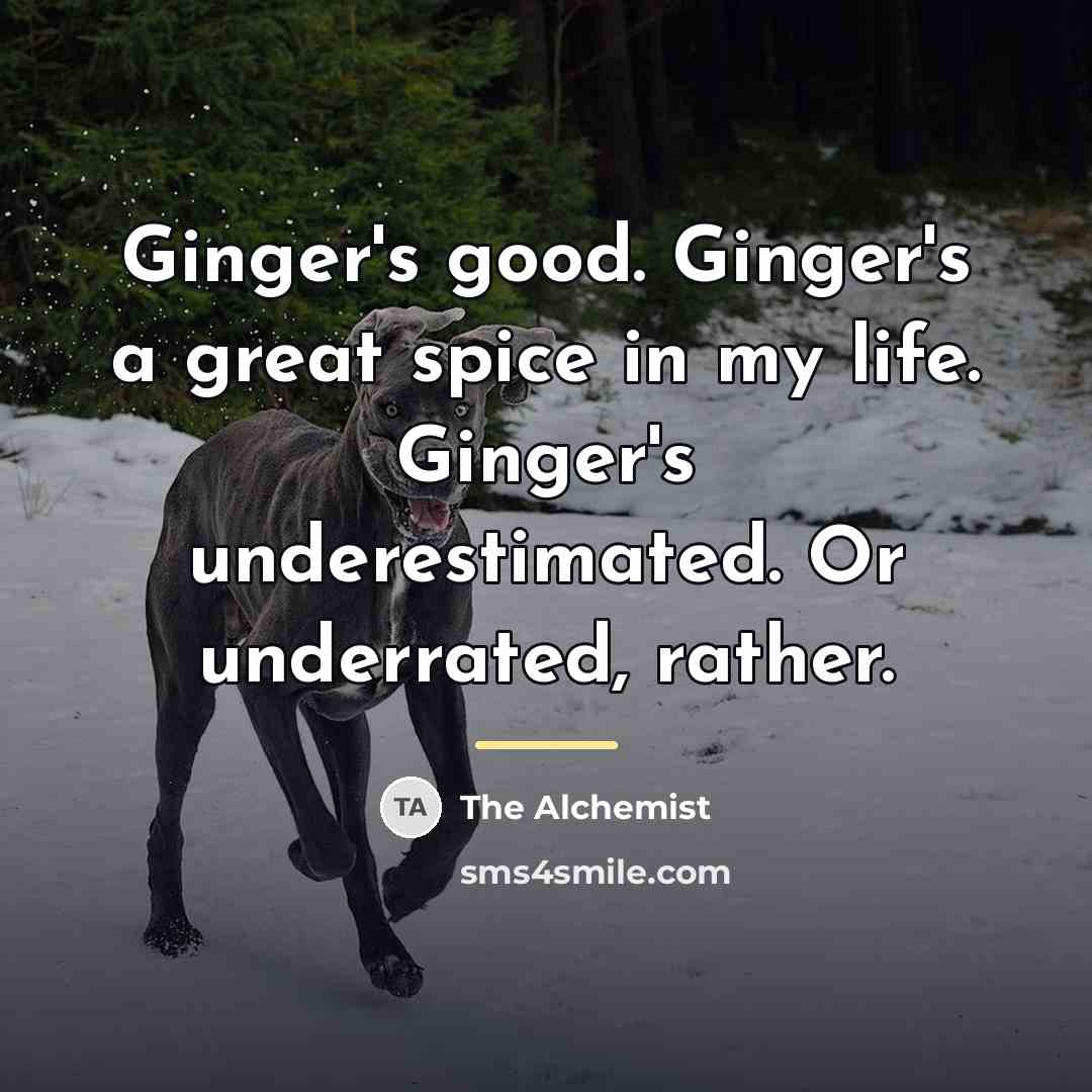 “Ginger's good. Ginger's a great spice in my life. Ginger's…” quote by The Alchemist