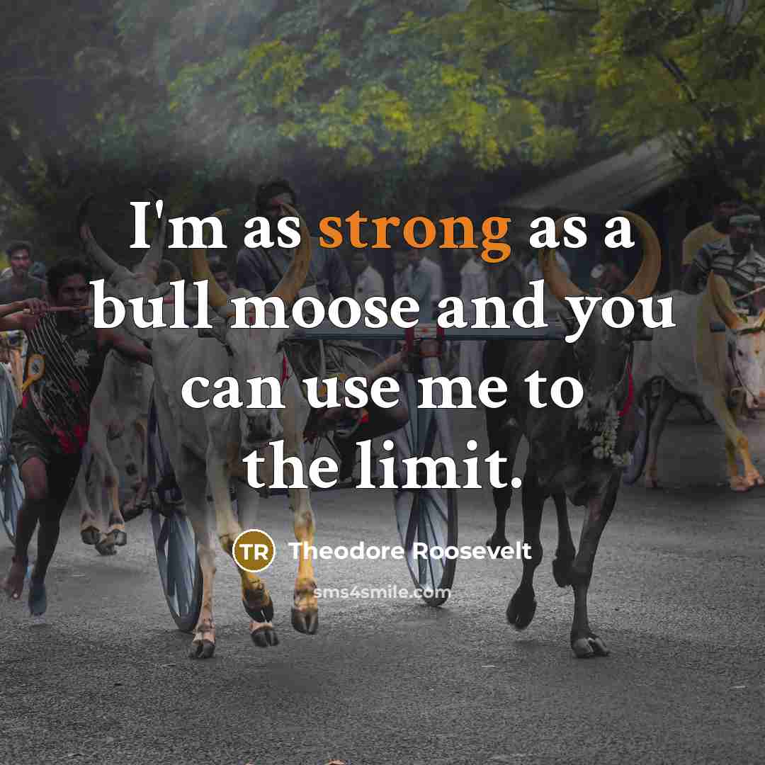 “I'm as strong as a bull moose and you can…” quote by Theodore Roosevelt