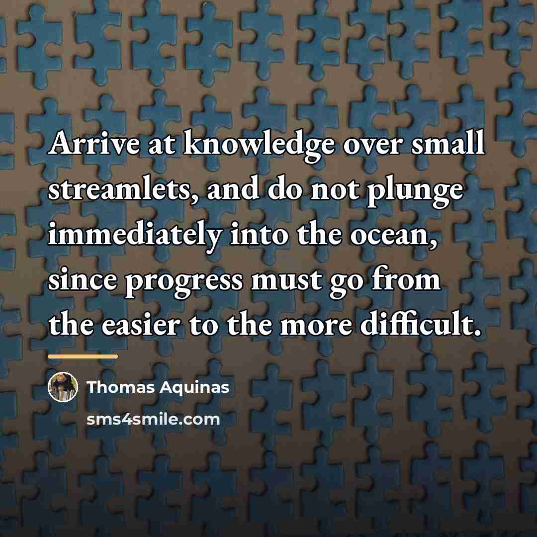 “Arrive at knowledge over small streamlets, and do not plunge…” quote by Thomas Aquinas